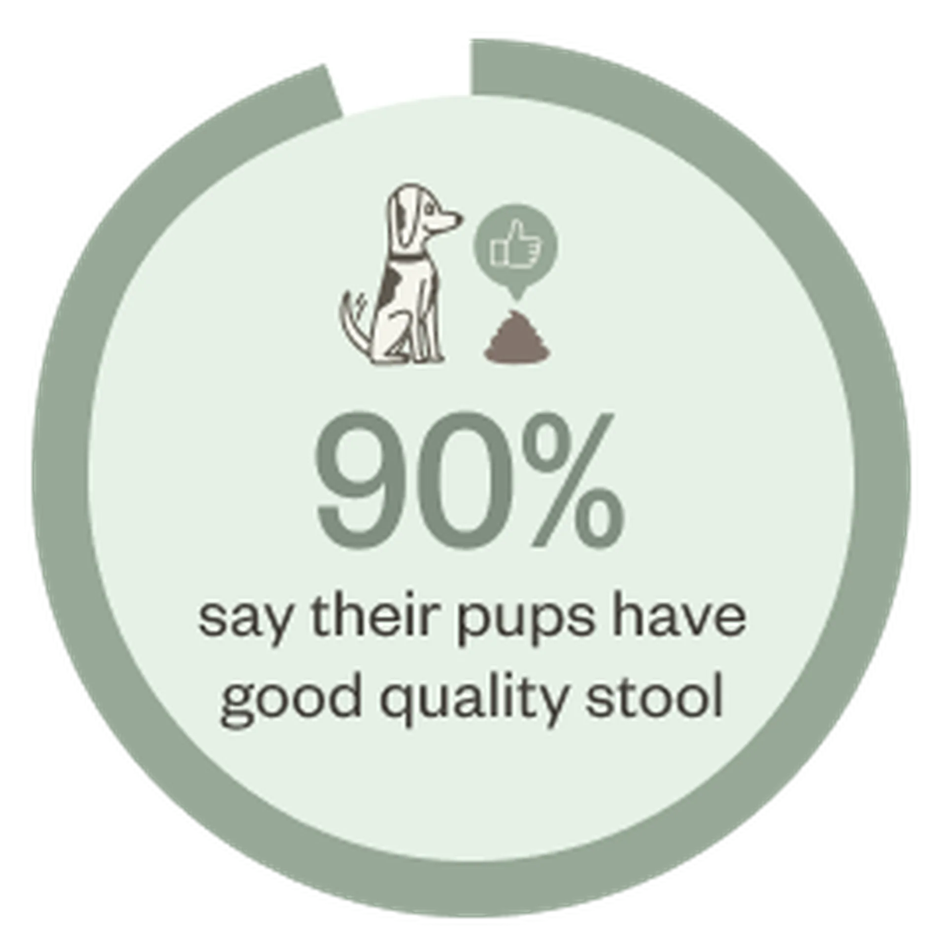Ollie Dog Food 6