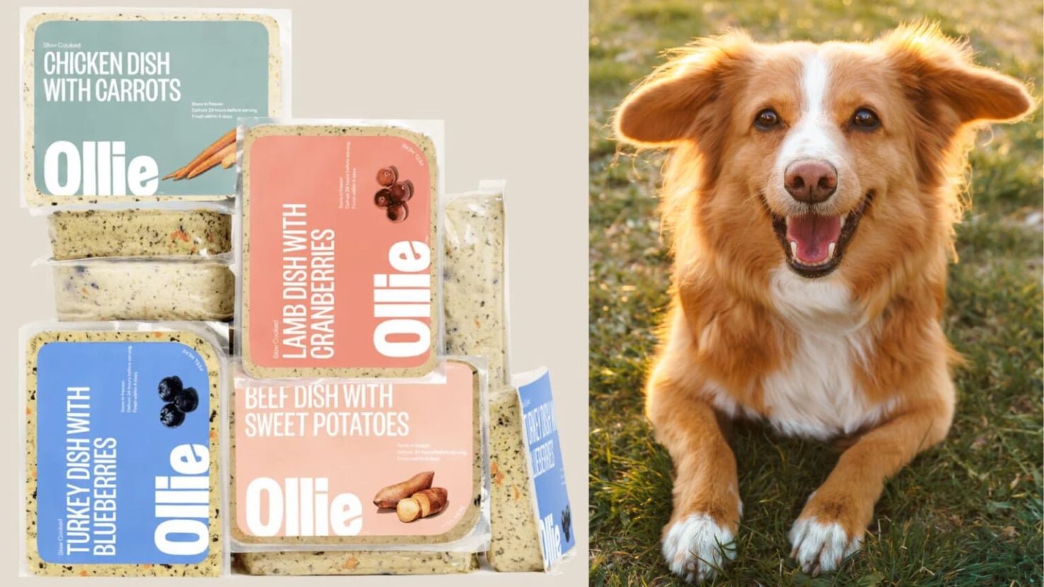 Ollie Dog Food 14
