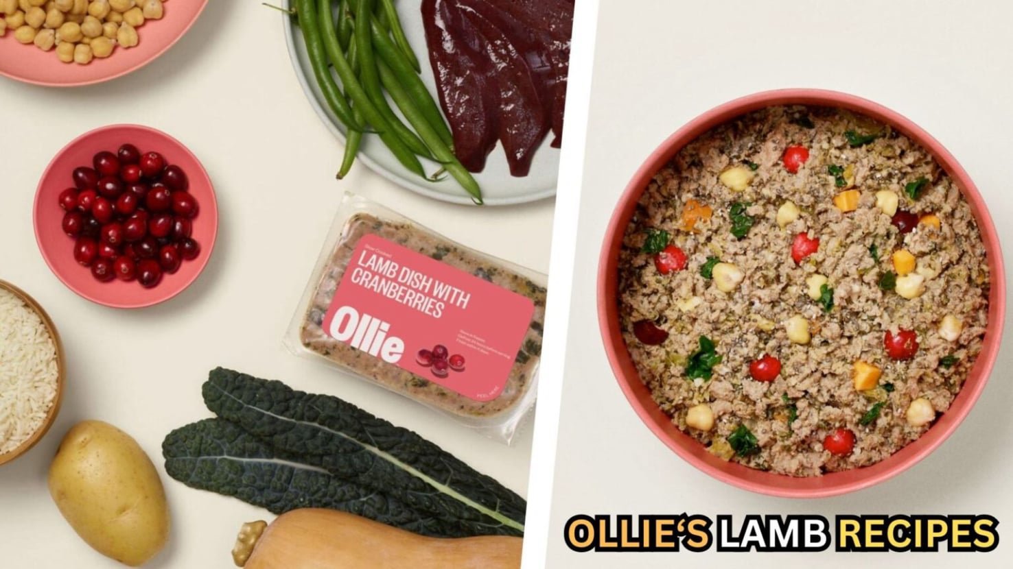 Ollie Dog Food 13