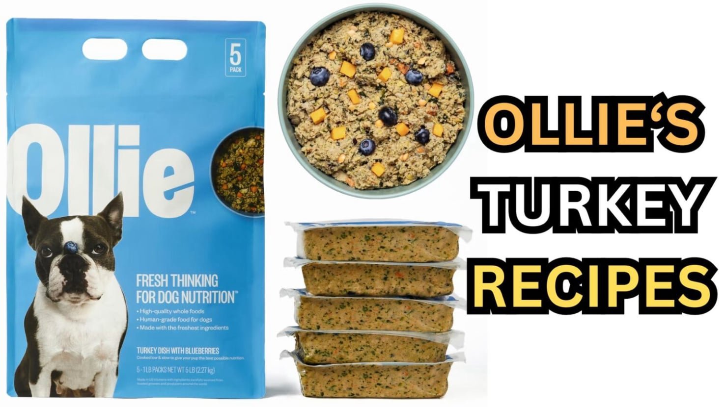 Ollie Dog Food 12